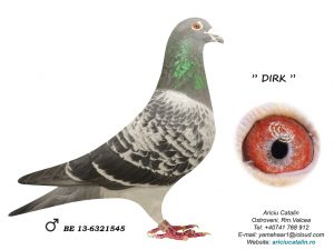 Dirk