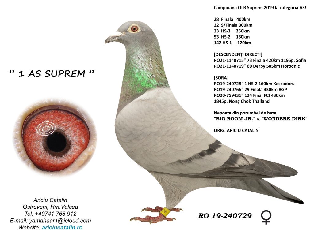 1 AS Suprem