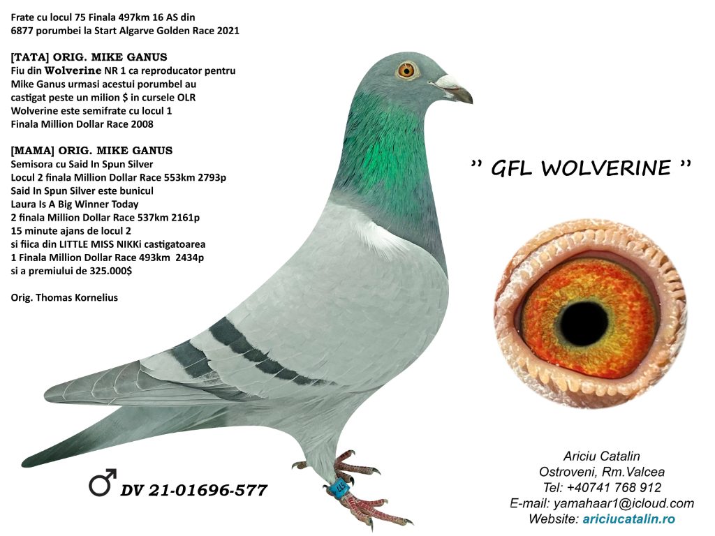 GFL Wolverine